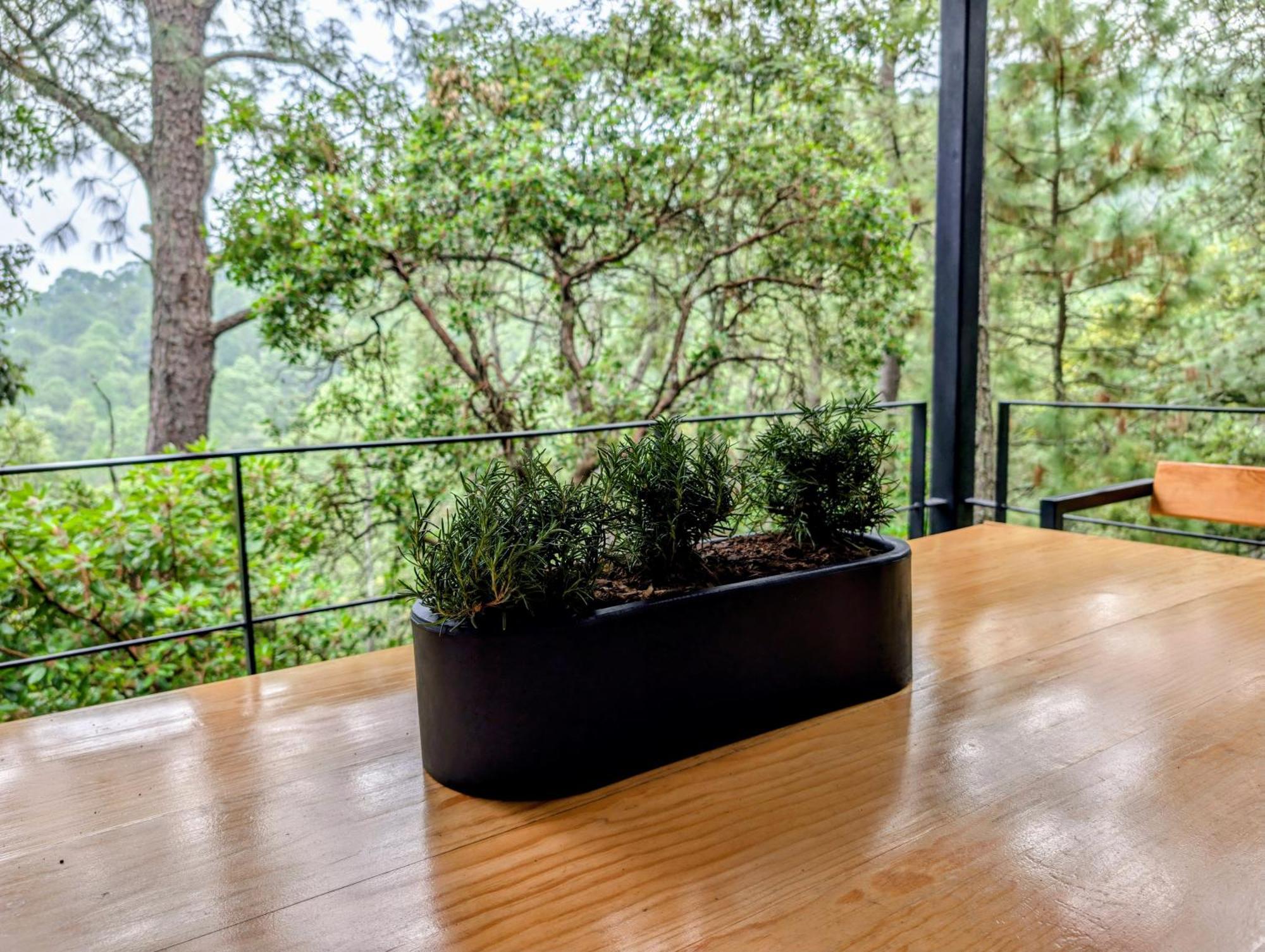 Cabana La Finca Mazamitla Bagian luar foto