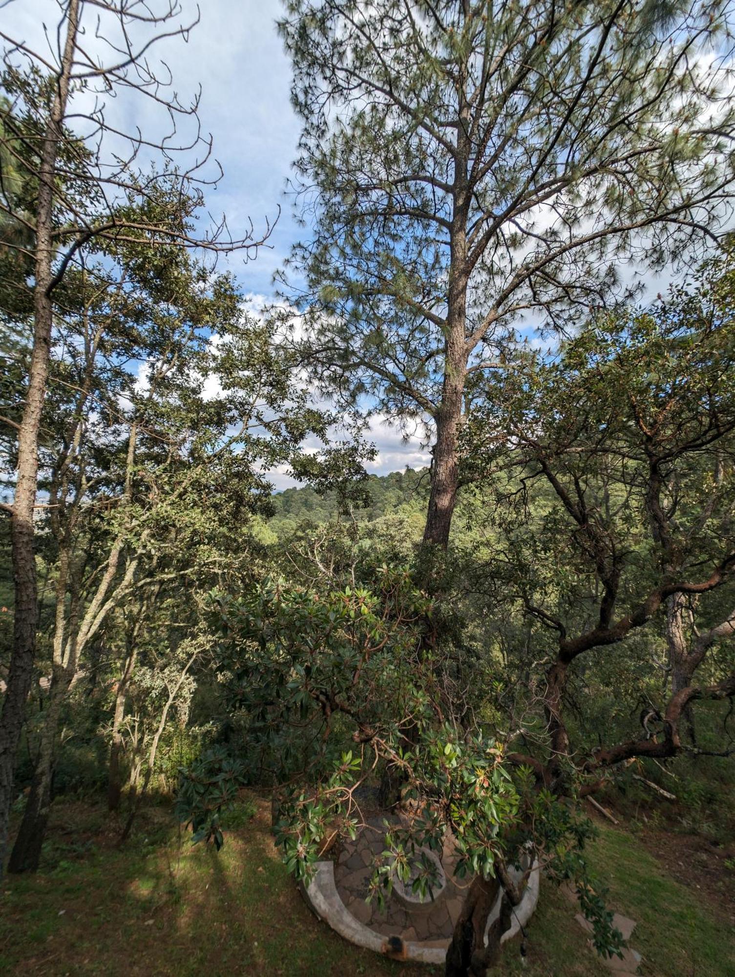 Cabana La Finca Mazamitla Bagian luar foto
